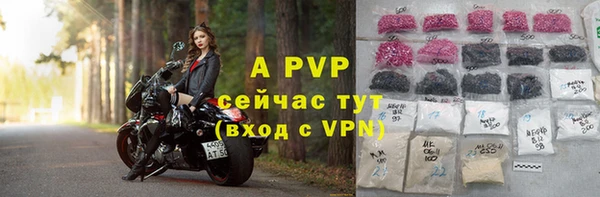 прущие грибы Бородино