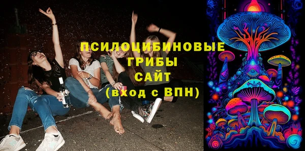 прущие грибы Бородино