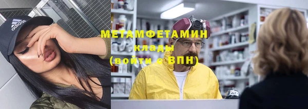 индика Бронницы