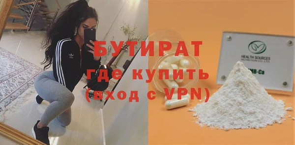 индика Бронницы