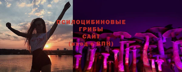 прущие грибы Бородино
