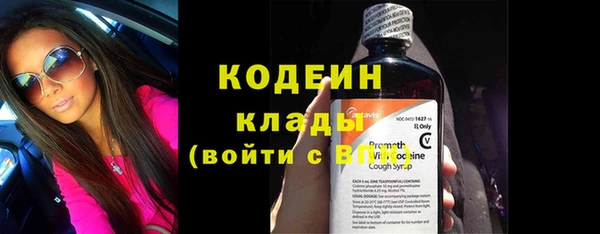 гашик Нея