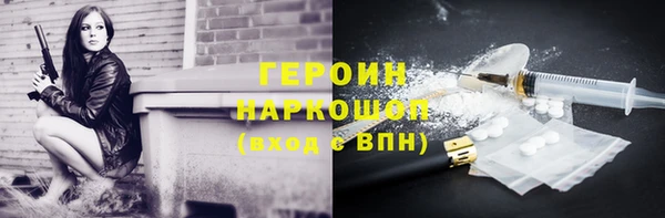прущие грибы Бородино