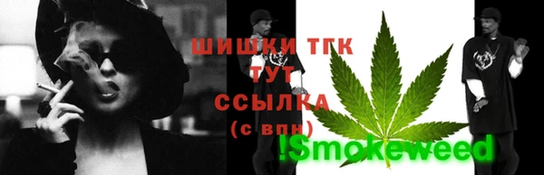 индика Бронницы