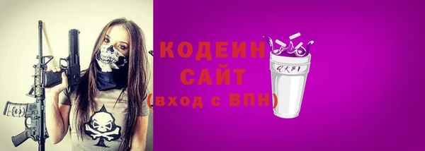 прущие грибы Бородино