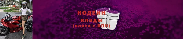 индика Бронницы