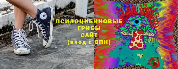 прущие грибы Бородино