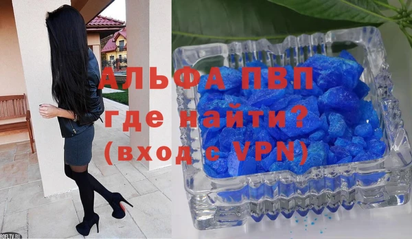 индика Бронницы