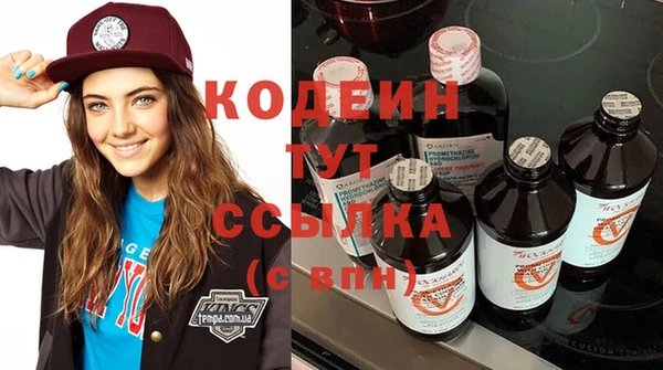 прущие грибы Бородино