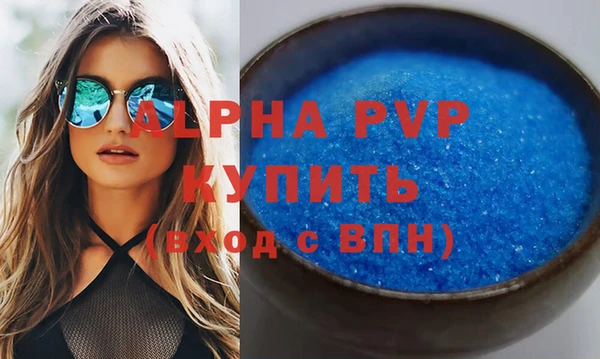 индика Бронницы