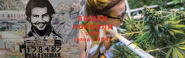 прущие грибы Бородино