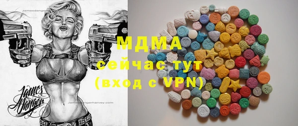 индика Бронницы