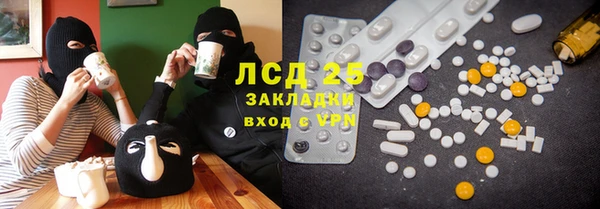 индика Бронницы