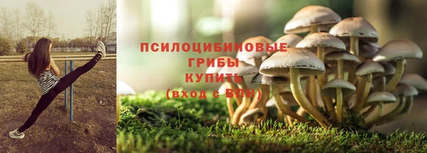 индика Бронницы