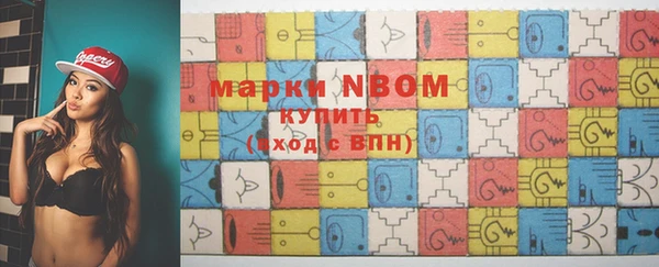 прущие грибы Бородино