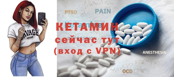прущие грибы Бородино