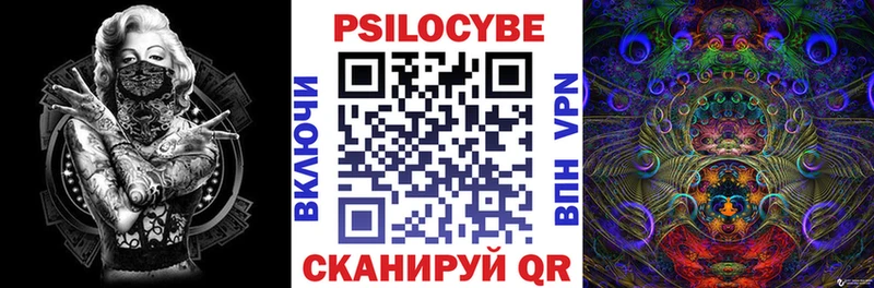 Купить закладки  Высоцк  Галлюциногенные грибы мицелий 