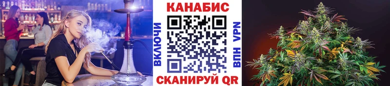 МАРИХУАНА план  Купить  Высоцк 